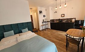 Steam Park Rakowicka Koper Apartment
